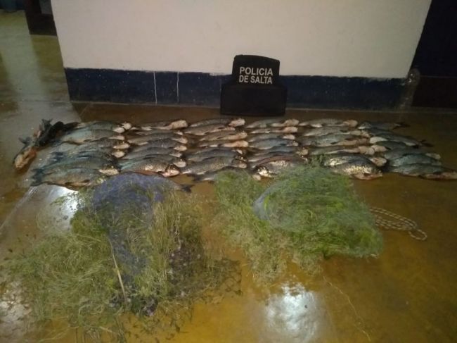 Procedimiento en el sur provincial