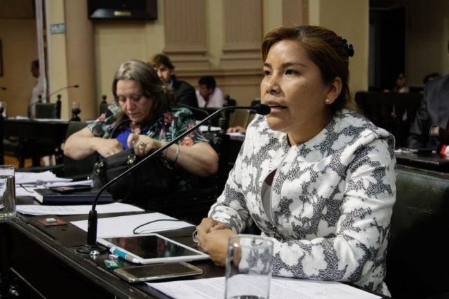 Diputada Liliana Guitián