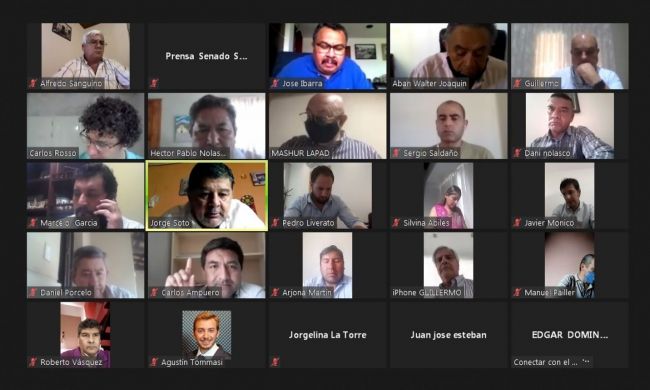 Reunión online con el ministro de Salud