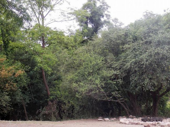 Nueva reserva natural