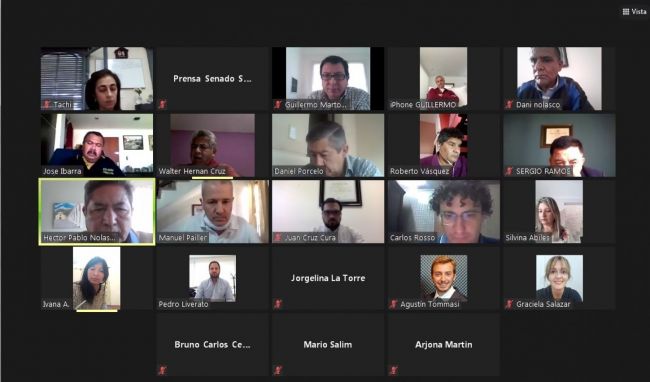 Reunión remota de la comisión de salud