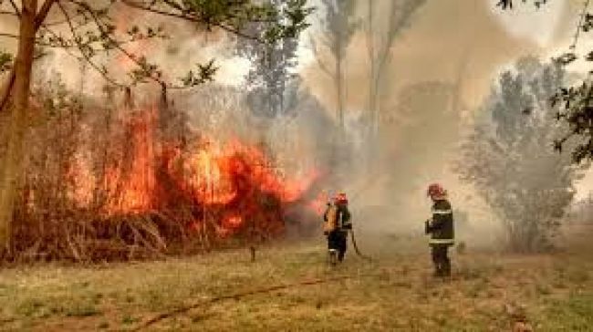 Incendio forestal