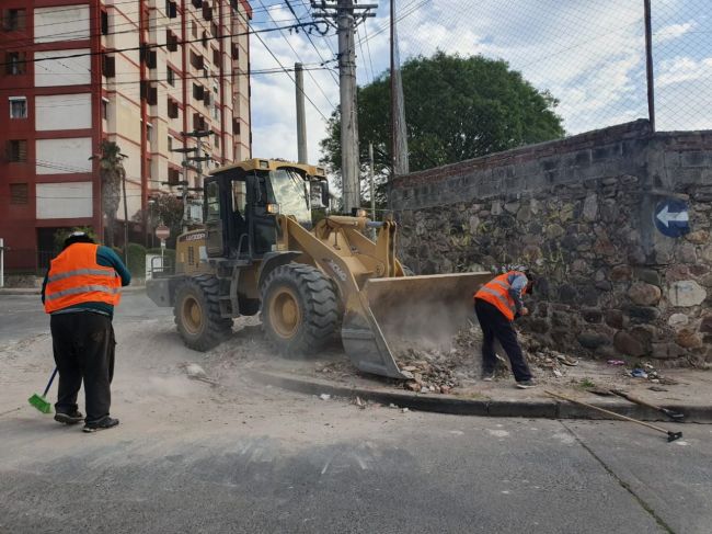 Microbasurales crónicos