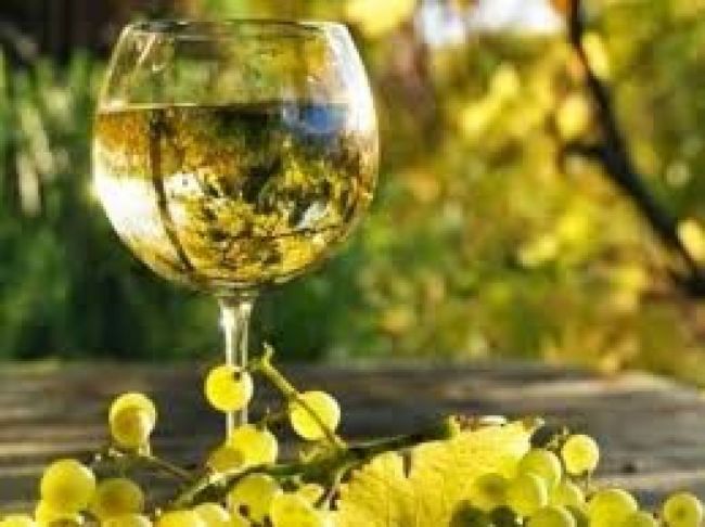 Semana dedicada el torrontés