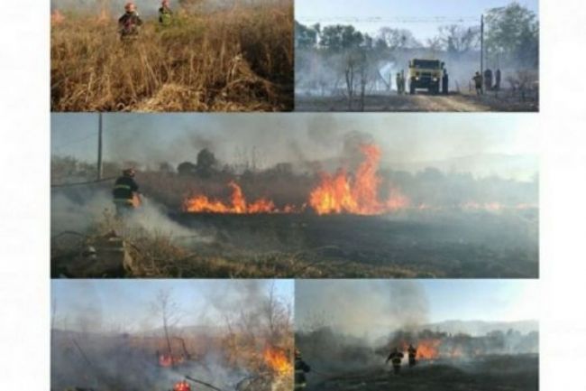 Incendios forestales en el Norte de Salta