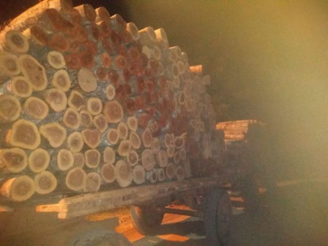 Controles en el Norte