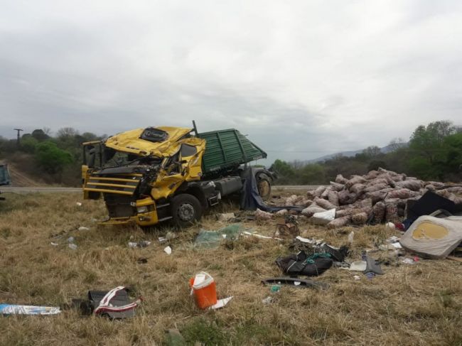 El camión habría impactado con una vaca