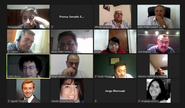 Reunión de la comisión de Minería del Senado