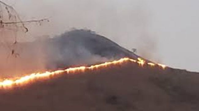 Incendios forestales en Salta