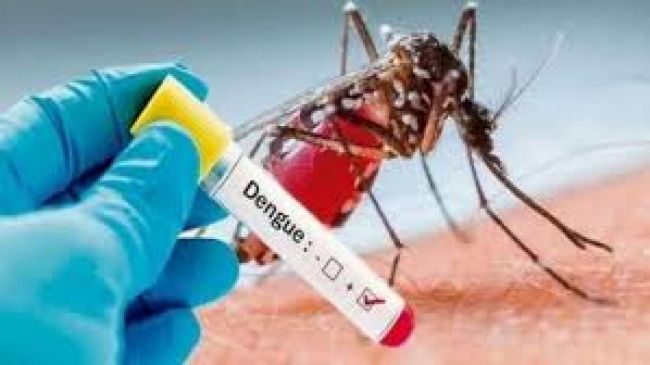 El dengue suma una nueva preocupación sanitaria