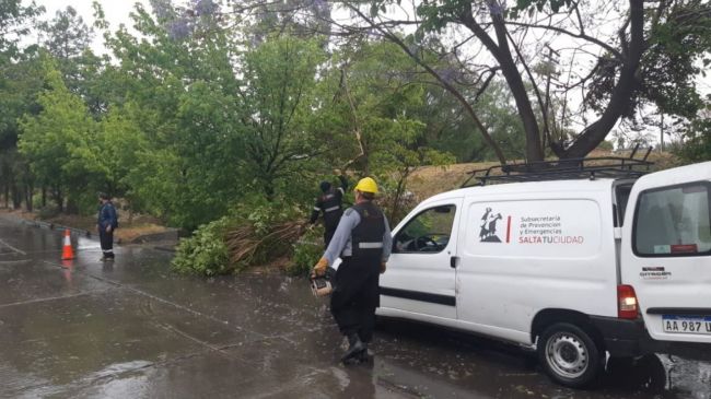 Consecuencias de la tormenta
