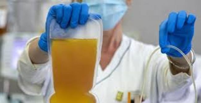 Volvieron las sesiones semipresenciales