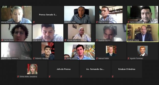 Consulta al Poder Ejecutivo