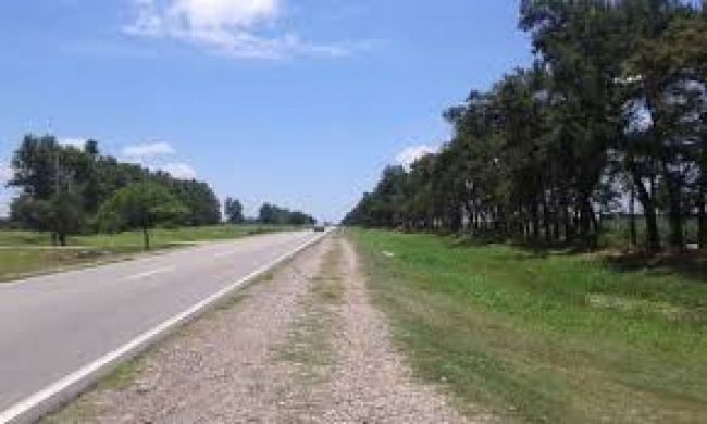 Sucedió en Finca el Algarrobal