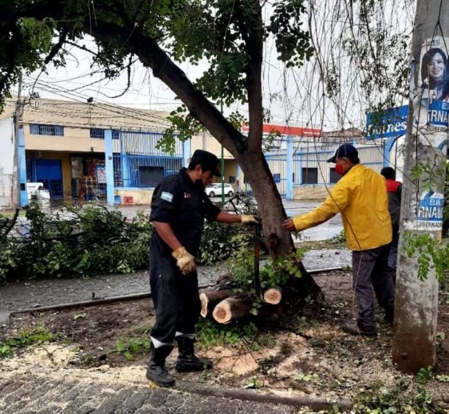 Trabajos tras la tormenta