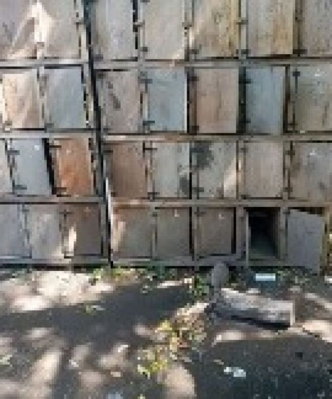 Así tenían a las aves