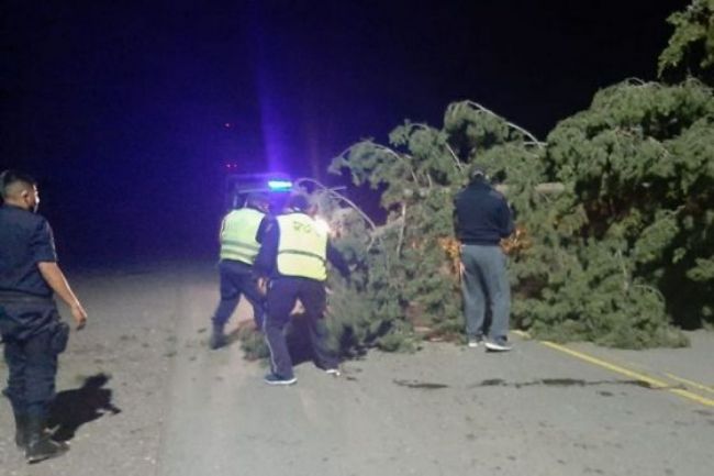 El temporal se abatió con más fuerza en La Viña y Metán