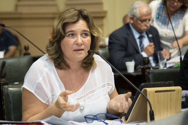 Diputada Gabriela Martinich