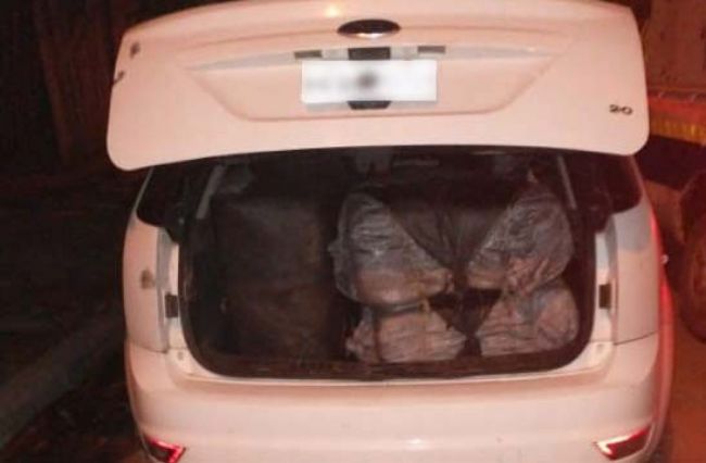 Cargamento de hojas de coca