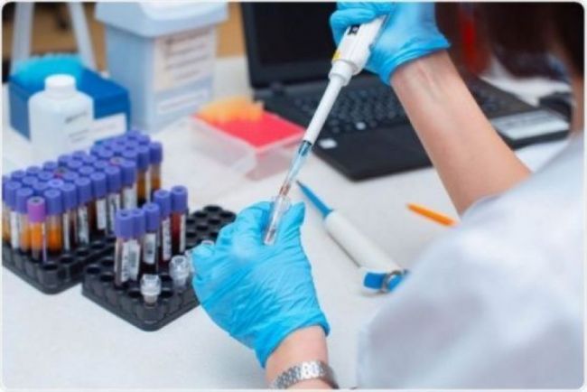 Los decesos se mantienen en 1.017