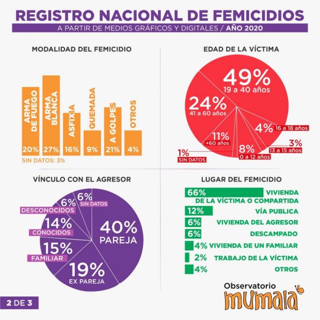 En el país se cometió un femicidio cada 32 horas en 2020