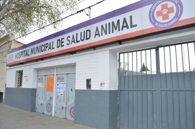 Hospital de mascotas