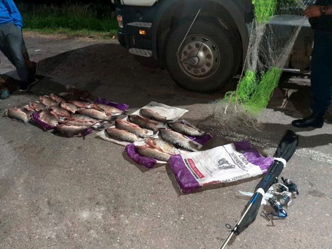 Material secuestrado