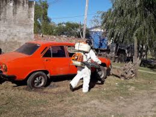 Fumigación contra el dengue