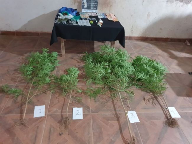 Resultado del allanamiento