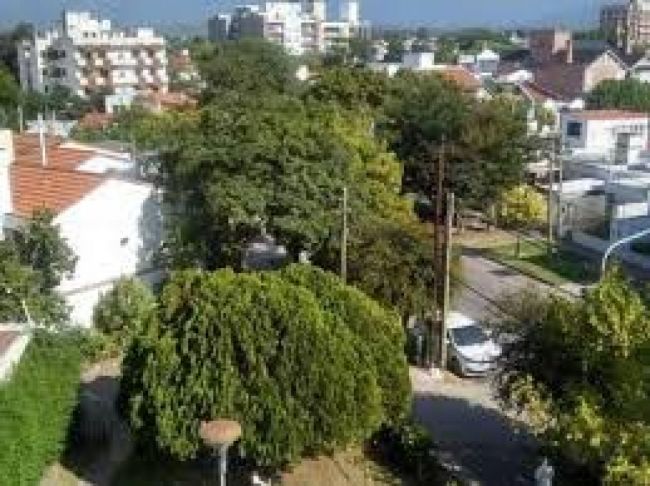 Robos en Tres Cerritos