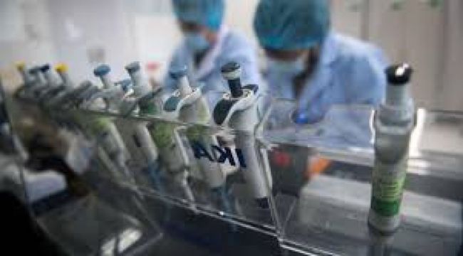 Los decesos suman 1069