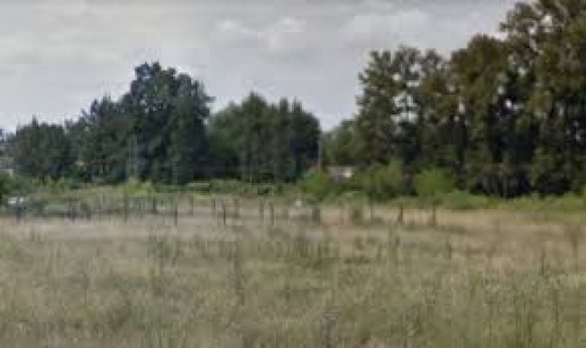 Violación y condena