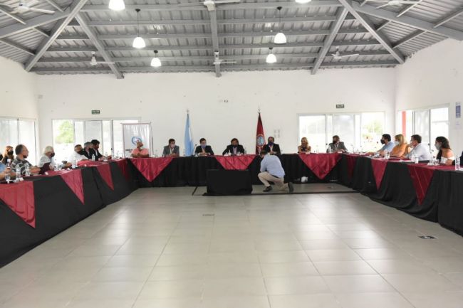 Consejo económico y Social