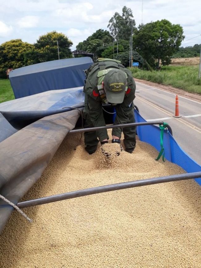 Contrabando de granos