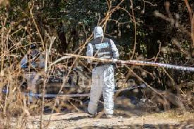 Solo irán a juicio los partícipes secundarios