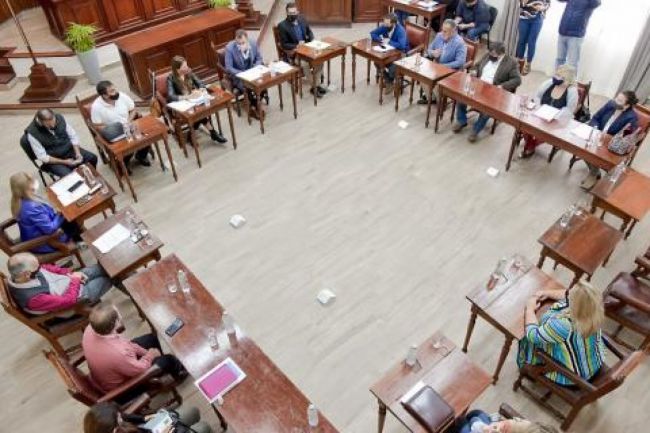 Actividad en el Concejo Deliberante