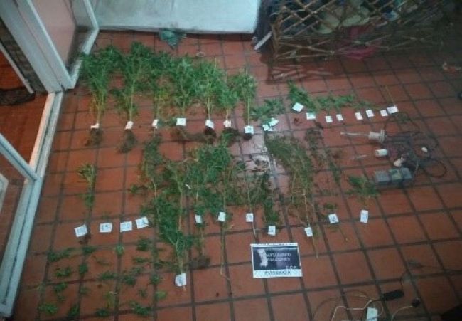 Por el incendio descubrieron marihuana