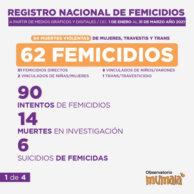 Registro nacional de femicidios