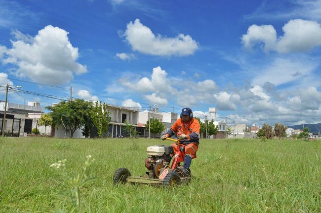 Desmalezado en la zona del Huaico