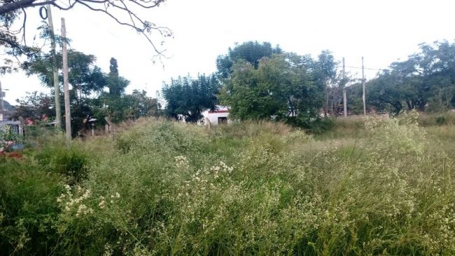 Baldíos en infracción