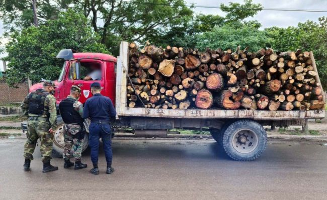 La madera secuestrada