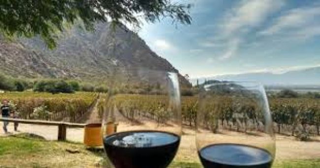 Paisaje salteño en el Día mundial del Malbec