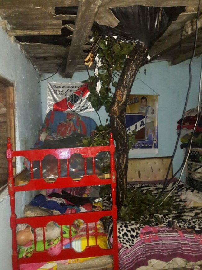 La rama rompió el techo y no hubo tragedia por milagro