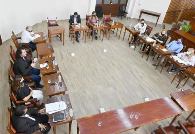 Plenario en el Concejo