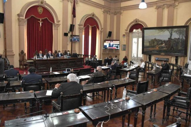 Sesión presencial en el Senado