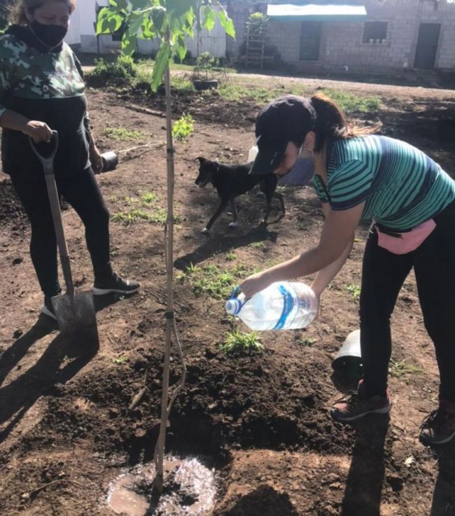 Cuidado del medio ambiente