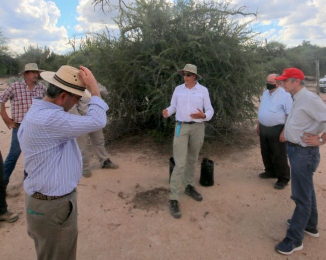 Finca el Paraíso en Rivadavia