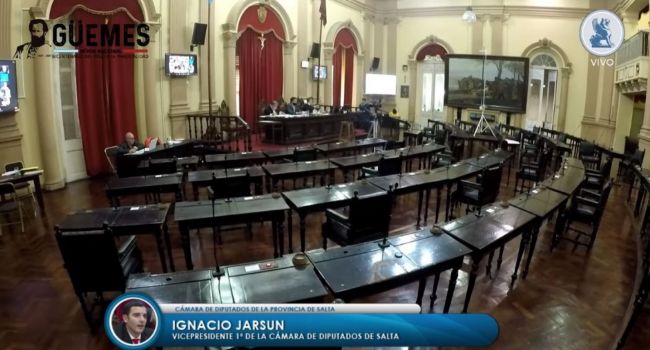Nueva sesión virtual de Diputados