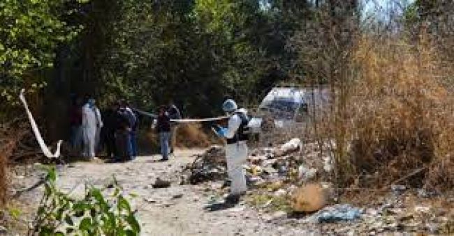 El crimen de Sandra Palomo