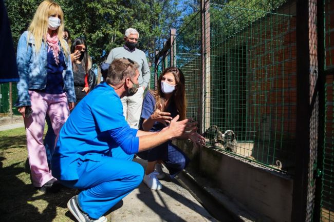Visita al centro de adopción y refugio